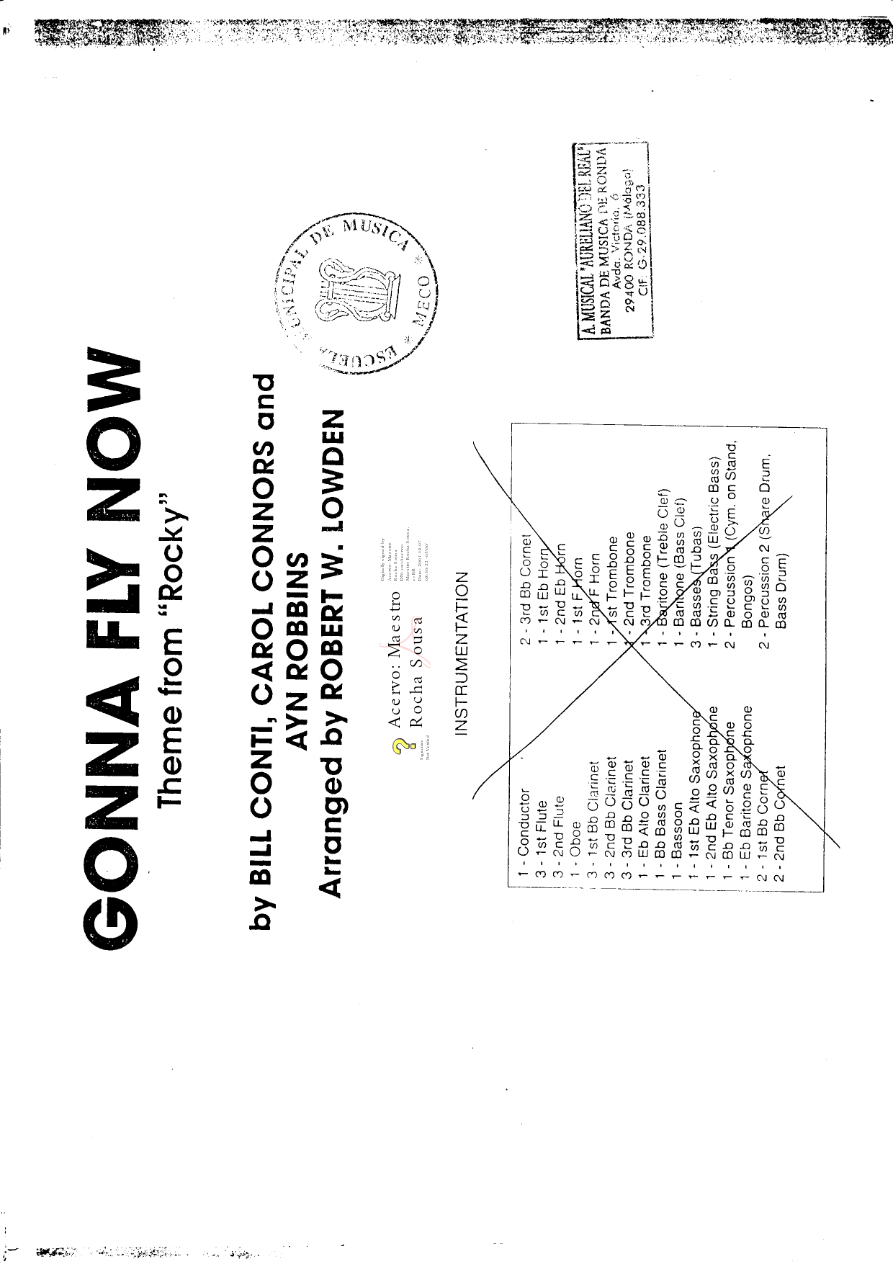 Gonna Fly Now — sheet music preview